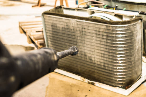 Best Air Duct Sanitizing Services  in Trenton, IL