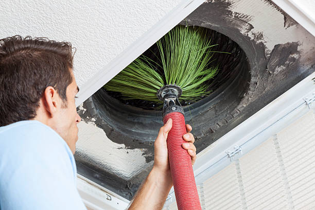 Best Affordable Duct Cleaning Services  in Trenton, IL